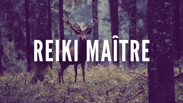 Formation Reiki – Complet